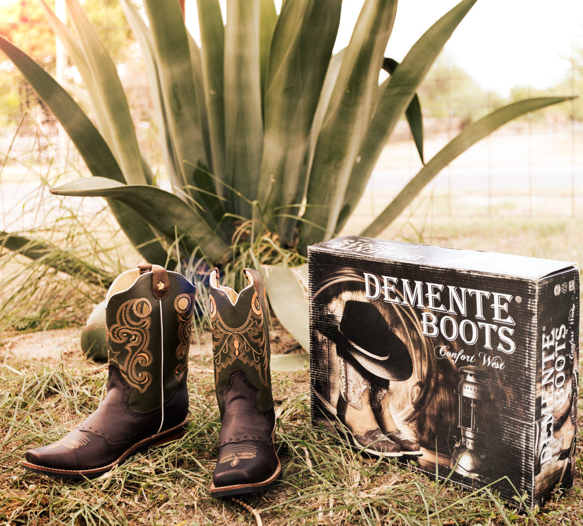 An aesthetic advertisement photo selling boots. There is a large aloe plant behind the boots.